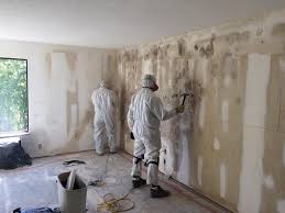 Professional Mold Removal in East Hemet, CA